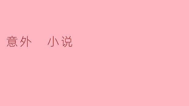 意外 小说
